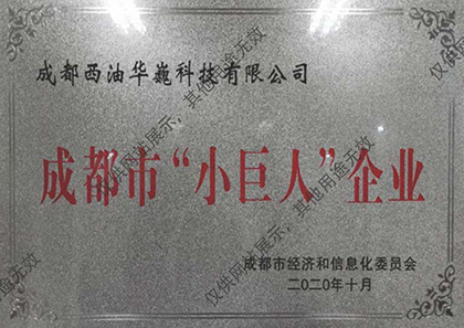 小巨人企业.jpg